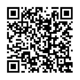 no curtain productions